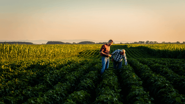 Agriculteur : trouvez la meilleure offre énergie pour votre exploitation agricole.