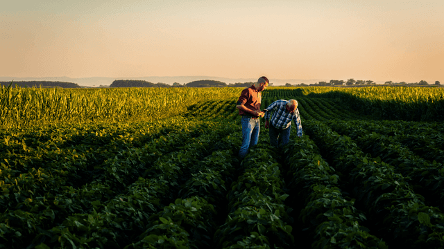 Agriculteur : trouvez la meilleure offre énergie pour votre exploitation agricole.